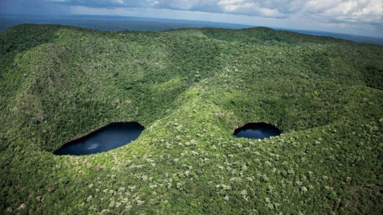 PSOL quer explicações sobre exploração de nióbio na Amazônia