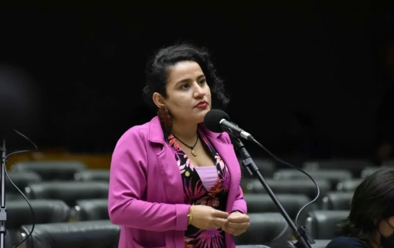 Deputada Vivi Reis requer convocação de ministro da Defesa para explicar demora nas buscas de Bruno Araújo e Dom Phillips