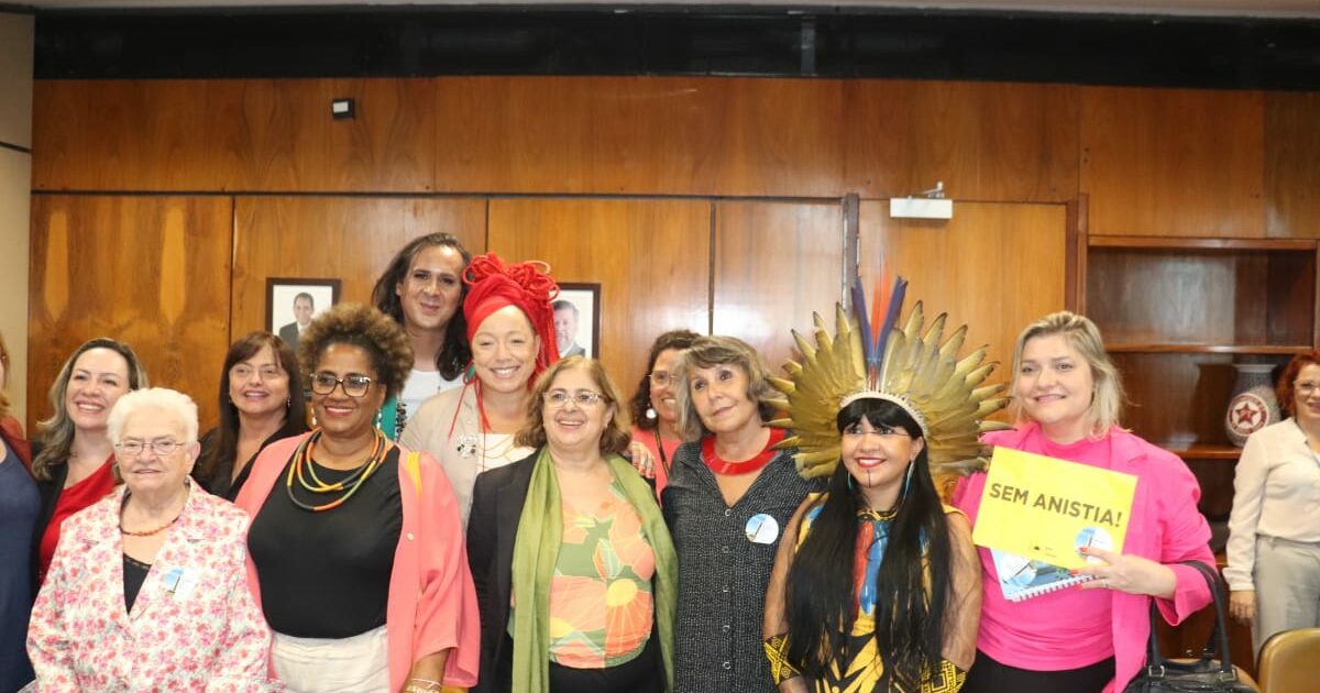 Bancada feminina e feminista do PSOL participa de audiência com ministra das Mulheres
