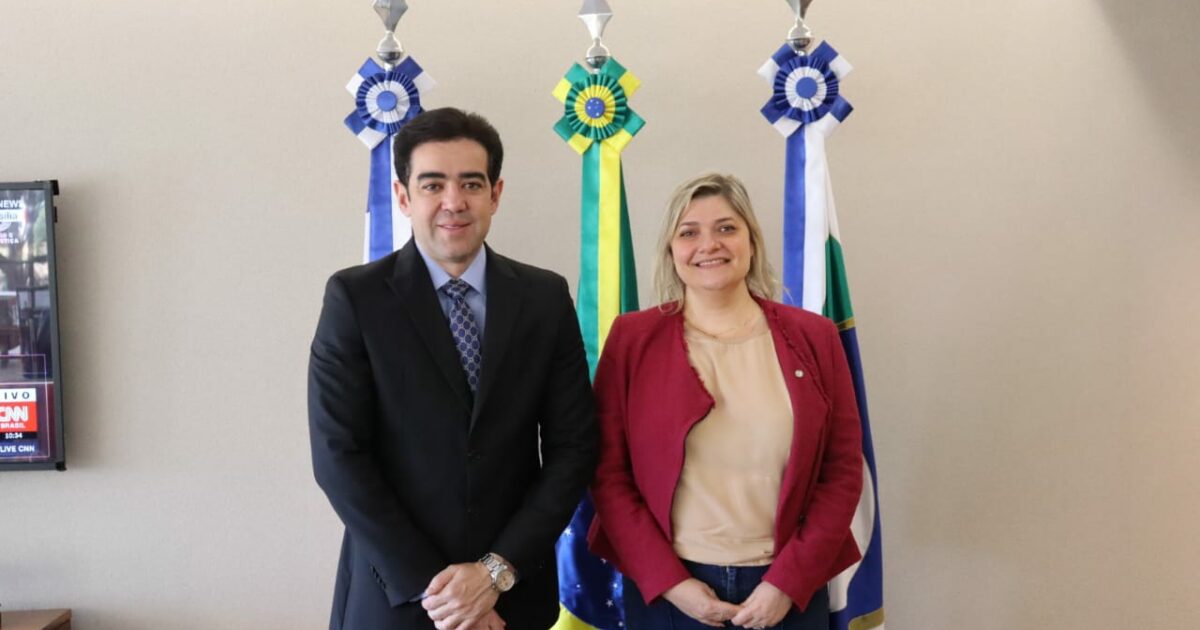 Luciene Cavalcante se reúne com presidente do Tribunal de Contas da União para debater a implementação do piso do magistério