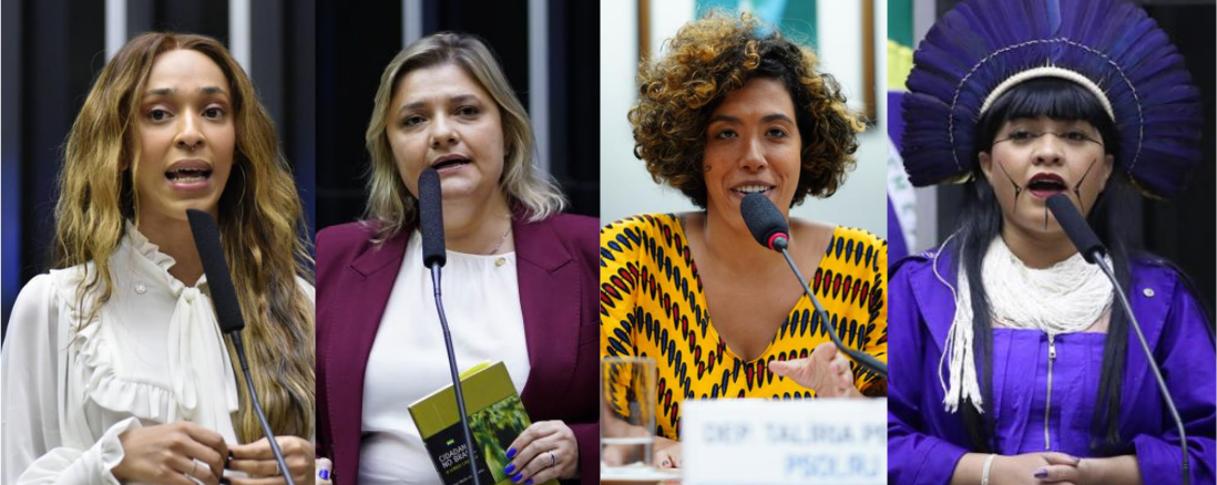 Deputadas do PSOL denunciam Gayer no STF e no MPF