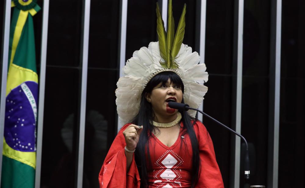 De autoria de Célia Xakriabá, projeto que autoriza que escolas indígenas, quilombolas e do campo escolham seus nomes é aprovado na Câmara