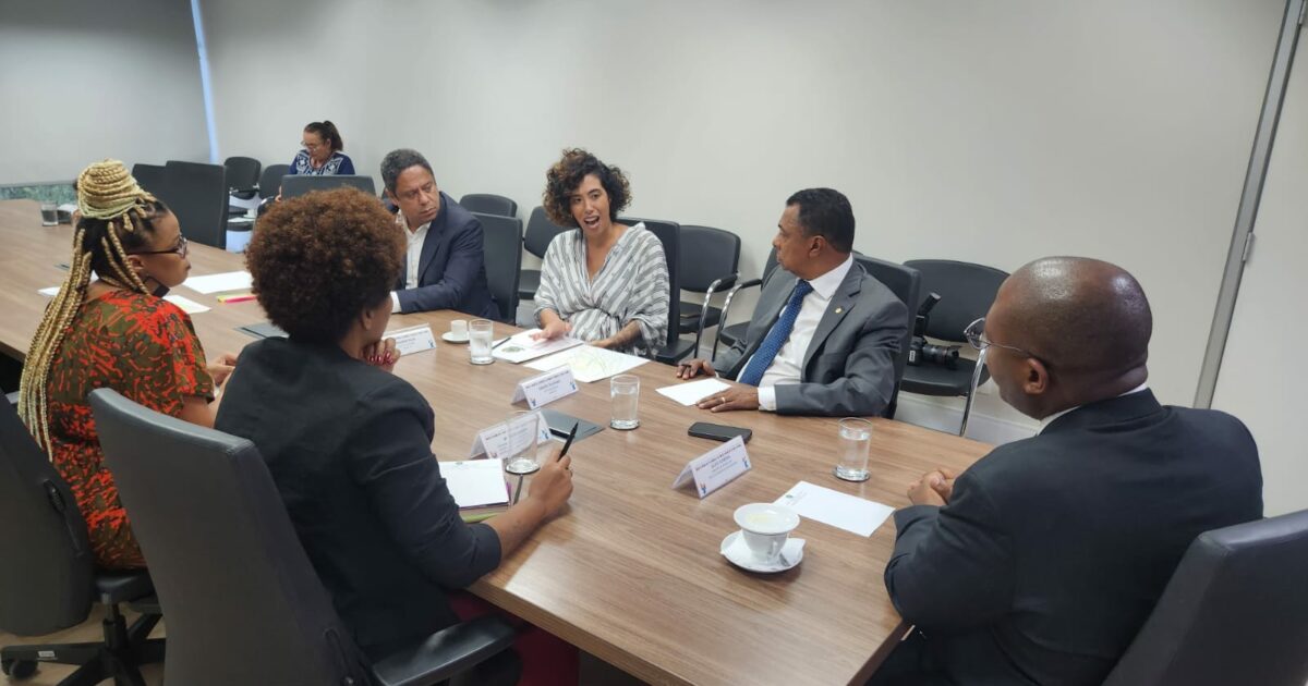 Talíria Petrone debate direitos da população negra em reunião com parlamentares e ministro dos Direitos Humanos