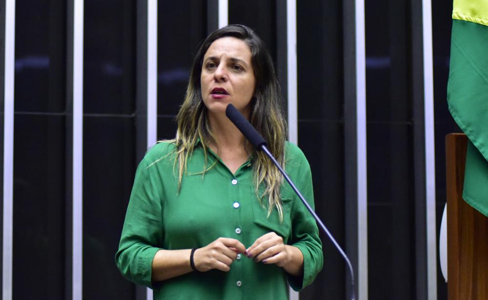 Fernanda Melchionna recria Frente Parlamentar de Defesa do Livro, da Leitura e da Escrita