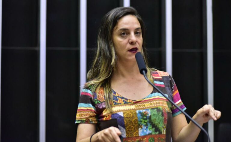 Fernanda Melchionna quer proibição e multa de plataformas e usuários que usem inteligência artificial para produzir fake nudes