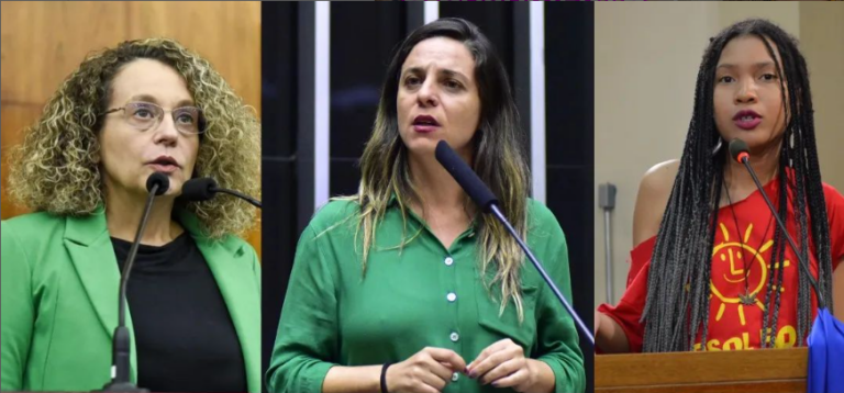 Fernanda Melchionna aciona o MPF contra PL aprovado em Santa Maria/RS que submete mulheres vítimas de estupro a tortura