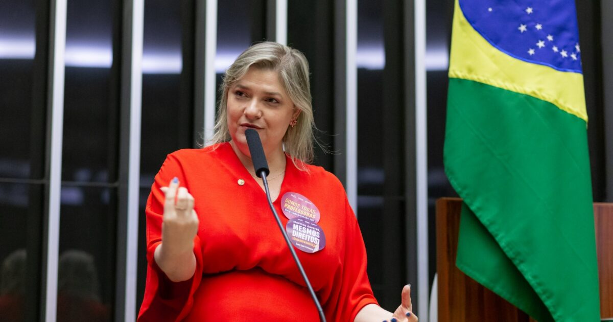 Deputada Professora Luciene Cavalcante entra com nova ação cobrando contratação de psicólogos para escolas da rede pública de SP