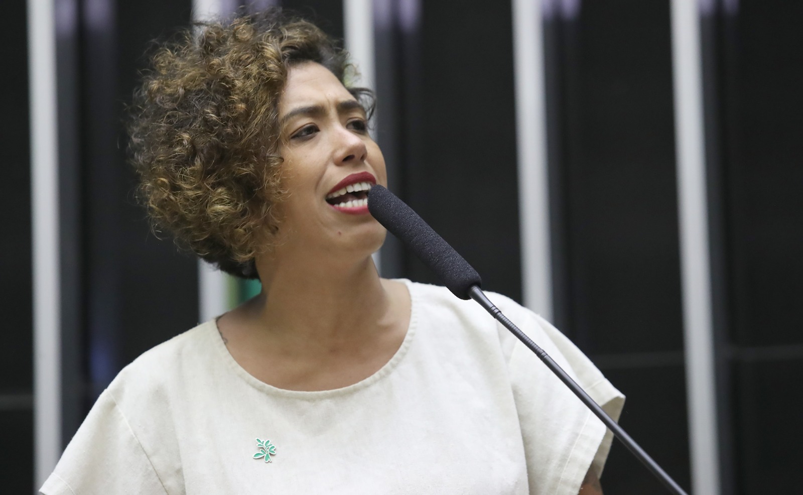 Talíria Petrone defende legado de Marielle e enfrenta bolsonaristas na CDHMIR
