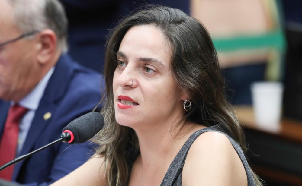 Fernanda Melchionna aprova requerimentos para realizar 11 audiências públicas sobre leitura, educação, privatizações e orçamento