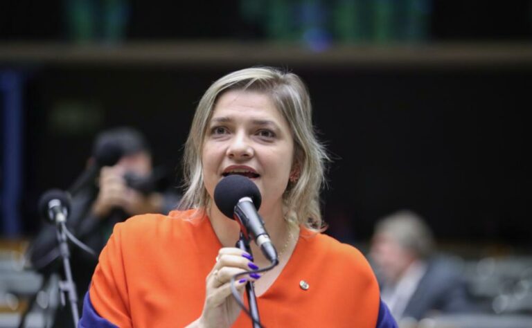 Deputada Professora Luciene pede ao STF inclusão de Eduardo Bolsonaro e Gustavo Gayer nas investigações do 8 de janeiro