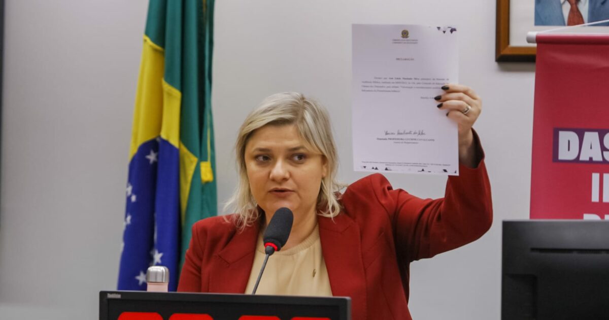 Deputada Professora Luciene Cavalcante aciona o ministro da Defesa para criação de força-tarefa para resgate de animais no RS