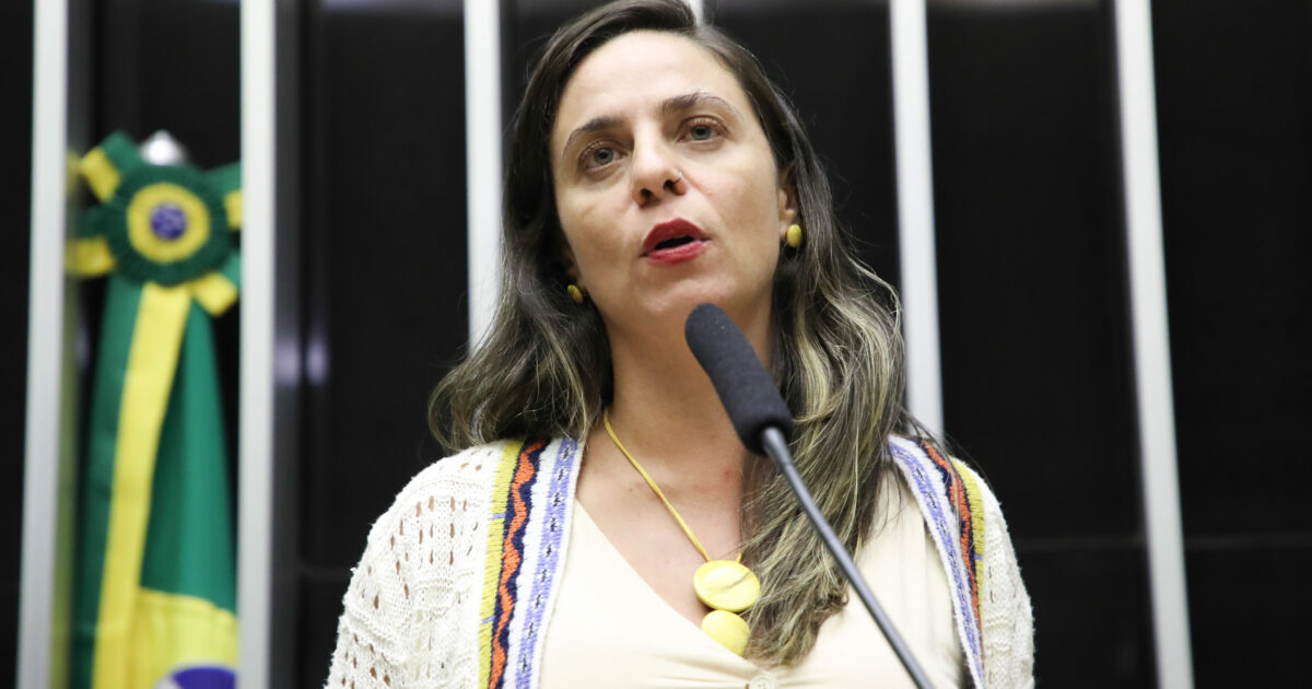 Fernanda Melchionna quer que deputados que propagaram fake news sobre catástrofe no RS sejam responsabilizados criminalmente