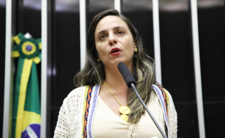 Fernanda Melchionna quer que deputados que propagaram fake news sobre catástrofe no RS sejam responsabilizados criminalmente