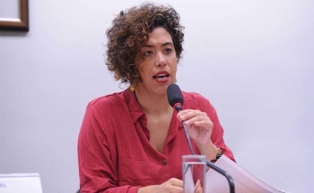 Coordenadora do GT do Clima da Frente Ambientalista, Talíria Petrone apresenta requerimento e faz alerta sobre tragédias