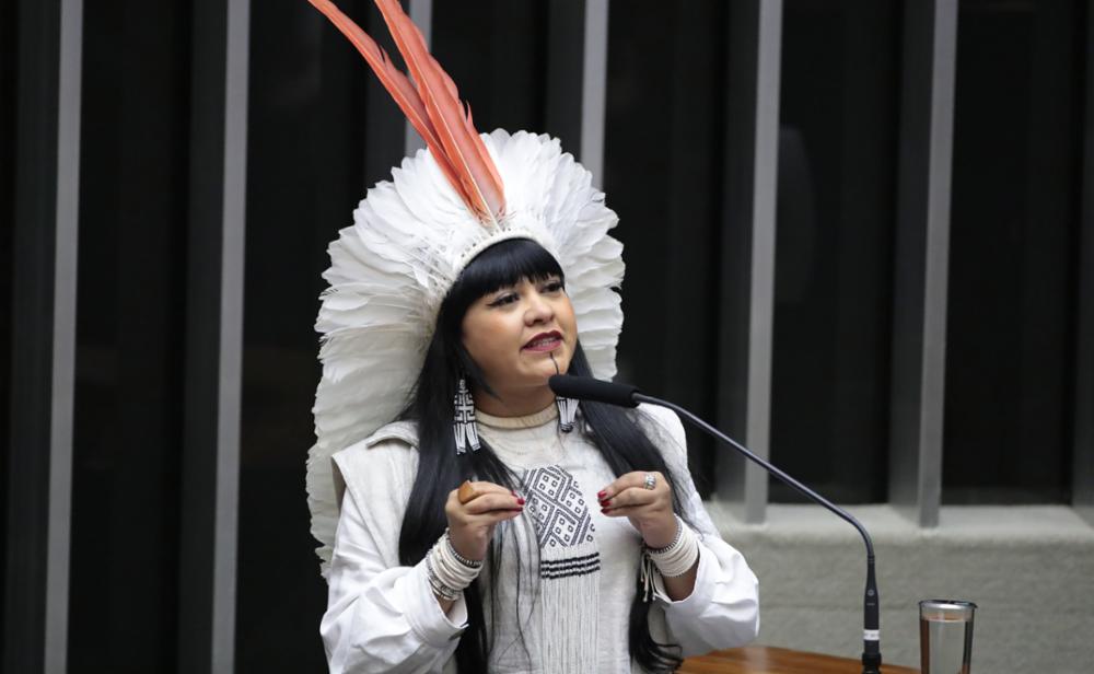 Após pressão, Célia Xakriabá integrará comissão externa da Câmara para acompanhar crise Yanomami