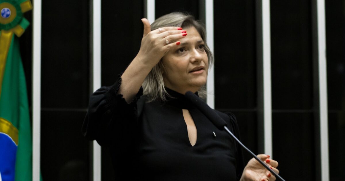 Deputada Professora Luciene mobiliza parlamentares pela aprovação do PLP 21/2023, que descongela os direitos dos servidores