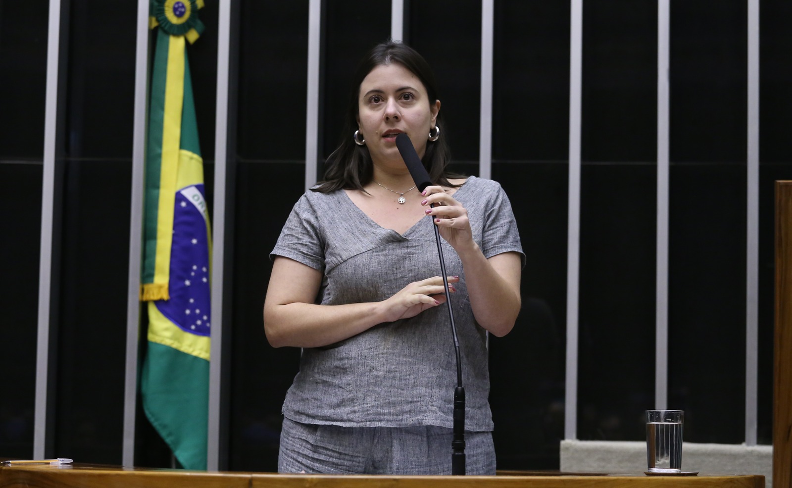 Sâmia Bomfim defende punição exemplar para Bolsonaro e golpistas
