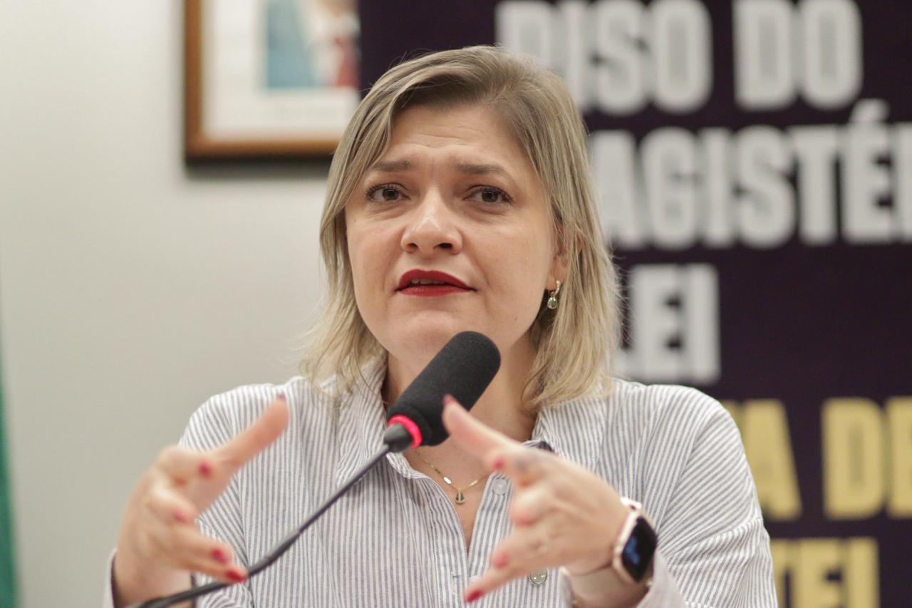 Professora Luciene preside audiência pública para criminalizar o descumprimento do Piso do Magistério