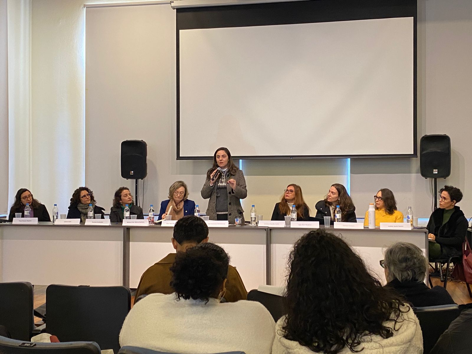 Falta de dados, pesquisas escassas e avanço do conservadorismo foram pauta da Comissão Externa da Câmara dos Deputados para investigar feminicídios no RS