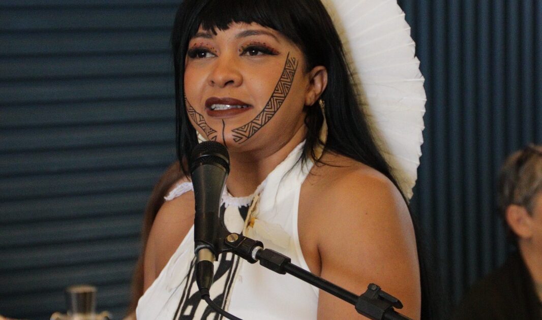 Célia Xakriabá propõe ação integrada para combater violência sexual contra crianças e adolescentes no ambiente digital