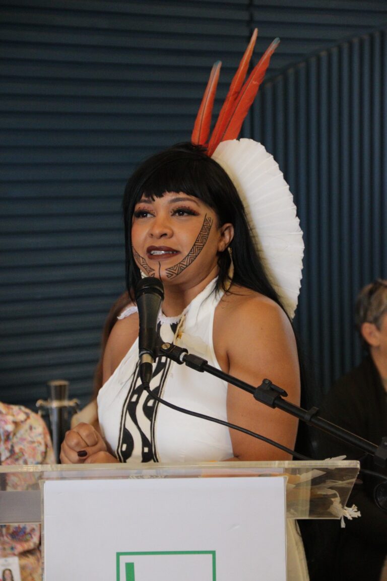 Célia Xakriabá propõe ação integrada para combater violência sexual contra crianças e adolescentes no ambiente digital