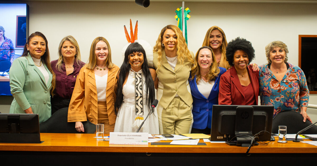 Erika Hilton é eleita vice-presidenta da Comissão da Mulher