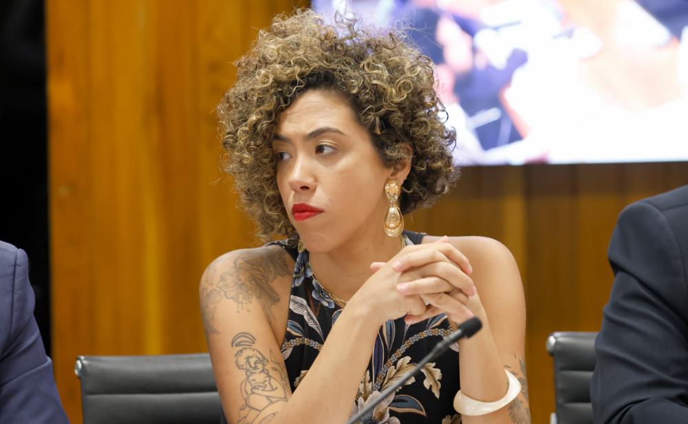 Comissão aprova audiência pública proposta por Talíria Petrone para ouvir setores da economia prejudicados por “tarifaço”