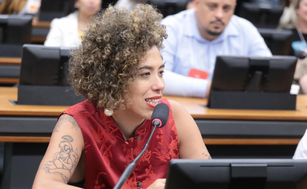 Comissão da Câmara aprova requerimento de Talíria Petrone para audiência sobre urbanismo e favelas no Complexo do Alemão