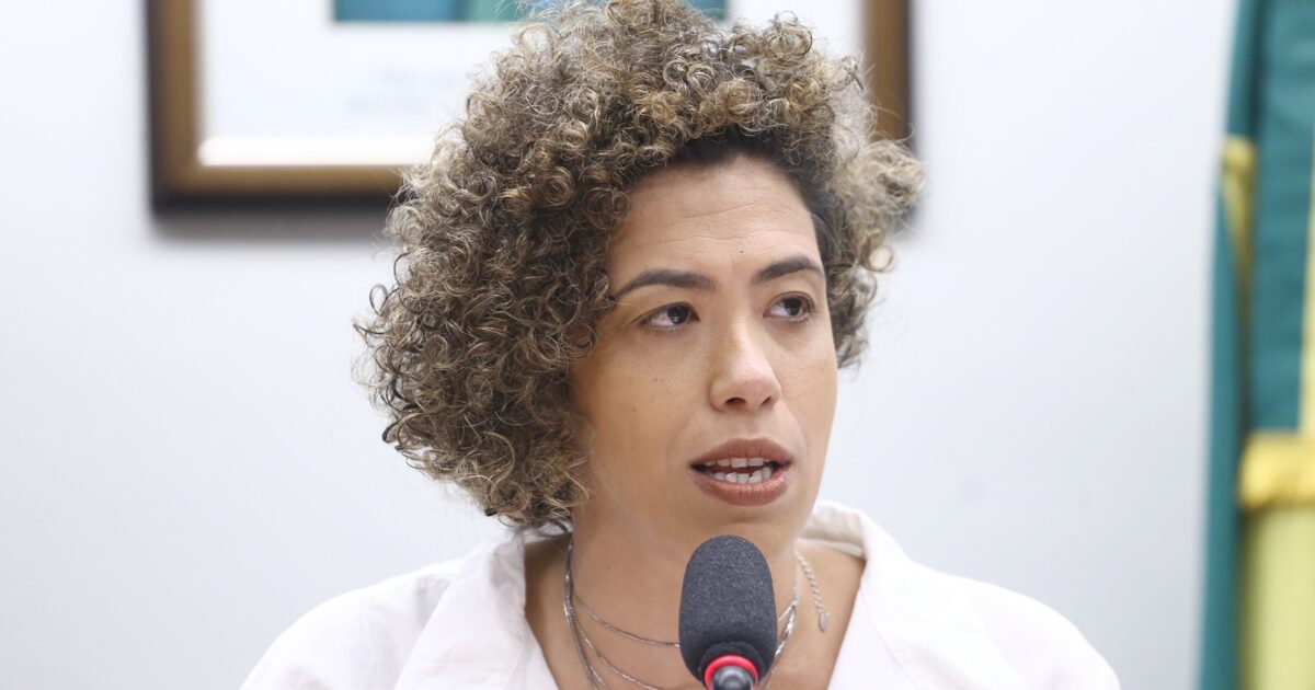 Talíria Petrone preside audiência para debater subsídios públicos para geração de energia a partir do carvão