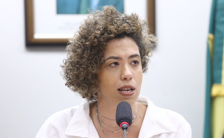 Talíria Petrone preside audiência para debater subsídios públicos para geração de energia a partir do carvão