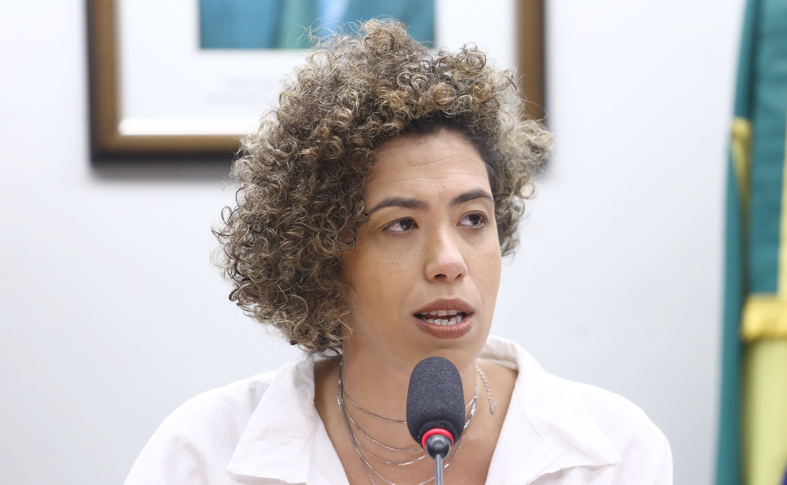 Talíria Petrone preside audiência para debater subsídios públicos para geração de energia a partir do carvão