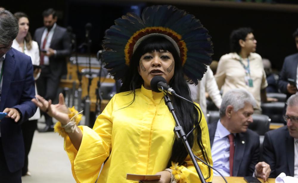 Célia Xakriabá lidera debate sobre crimes digitais contra mulheres com uso de inteligência artificial