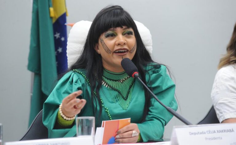 Deputada Célia Xakriabá aposta no futuro do ativismo jovem e leva a MiniCOP para a Pré-COP de Brumadinho