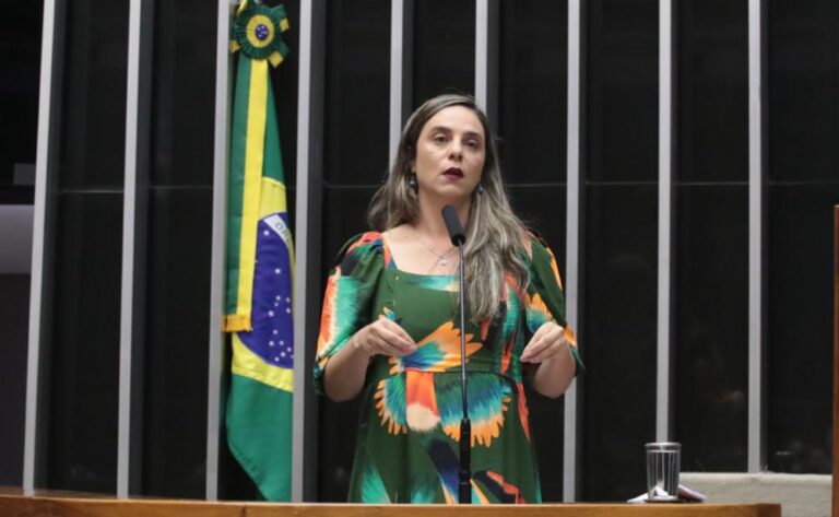 Fernanda Melchionna lança abaixo-assinado para que o PL da anistia seja enterrado
