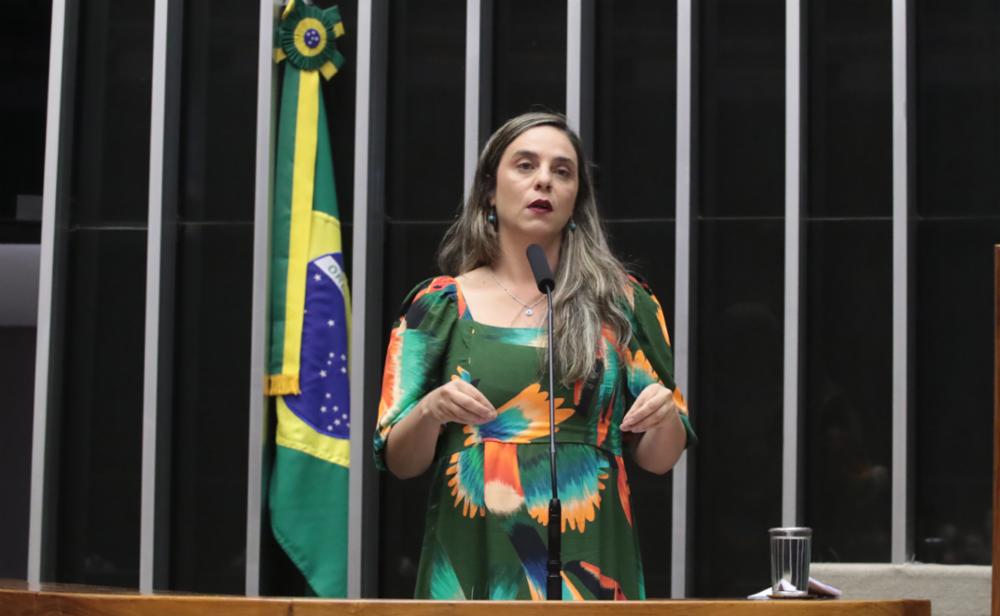 Fernanda Melchionna lança abaixo-assinado para que o PL da anistia seja enterrado