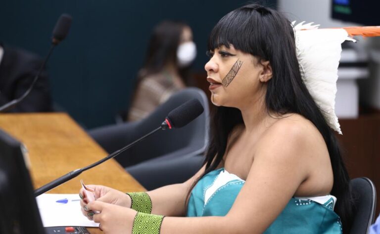 Deputada Célia Xakriabá aprova três PLs que fortalecem educação climática e defesa das mulheres em um só dia em diferentes comissões da Câmara dos Deputados