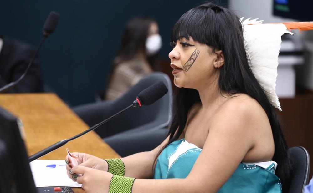 Deputada Célia Xakriabá aprova três PLs que fortalecem educação climática e defesa das mulheres em um só dia em diferentes comissões da Câmara dos Deputados