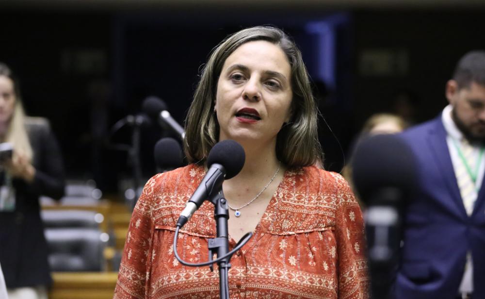 Fernanda Melchionna protocola projeto que garante gratuidade de dois itens pessoais em voos nacionais