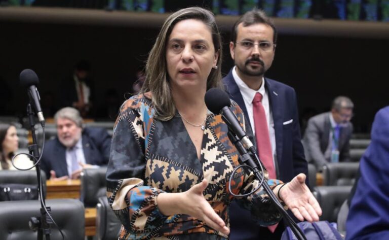 Fernanda Melchionna aprova um projeto e uma urgência na Câmara dos Deputados na última semana