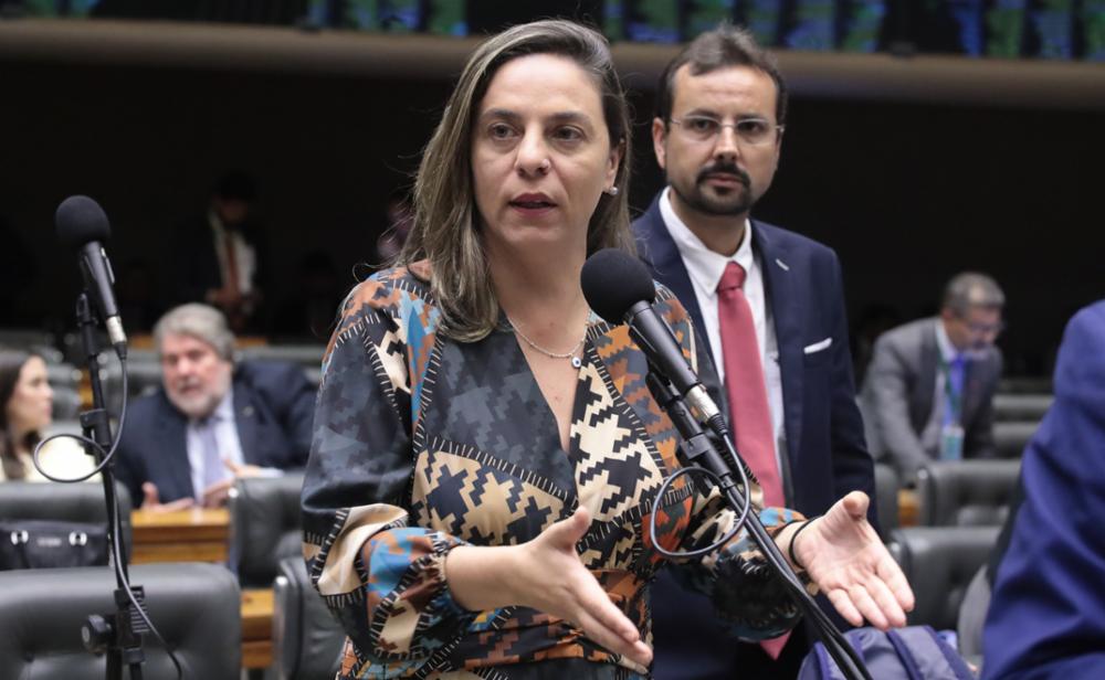 Fernanda Melchionna aprova um projeto e uma urgência na Câmara dos Deputados na última semana