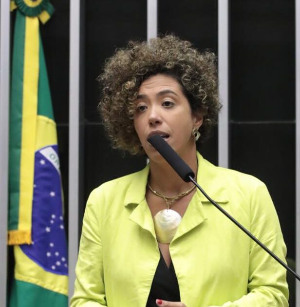 “Respostas à crise climática passam pelos territórios e pelos povos que há séculos protegem a floresta”, afirma Talíria Petrone