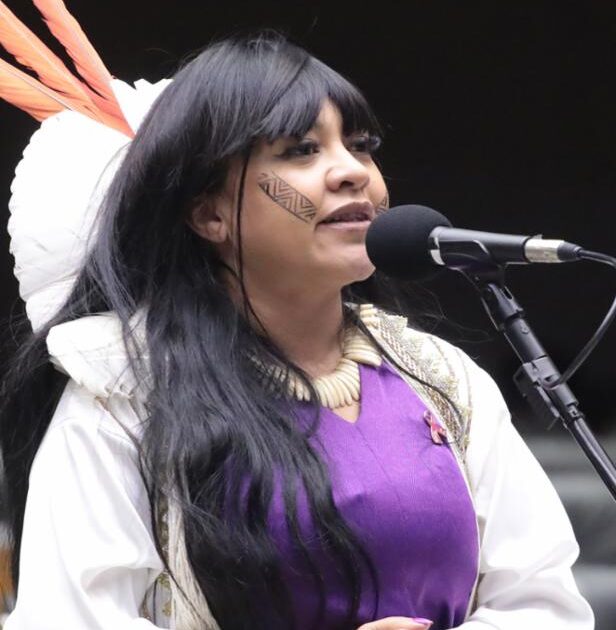 Do ‘ouro branco’ à terra sem água: alerta de Célia Xakriabá sobre Vale do Jequitinhonha dá origem a ADPF contra colapso socioambiental