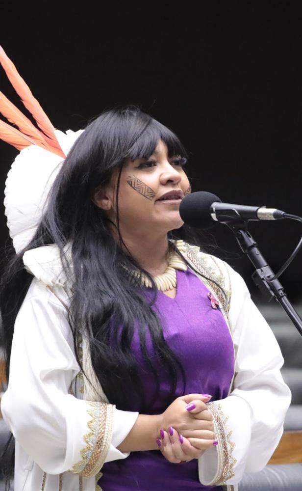 Do ‘ouro branco’ à terra sem água: alerta de Célia Xakriabá sobre Vale do Jequitinhonha dá origem a ADPF contra colapso socioambiental