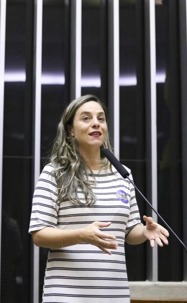 Fernanda Melchionna protocola projeto que cria Plataforma Escola Cuidada para garantir adaptação das escolas da educação básica às mudanças climáticas