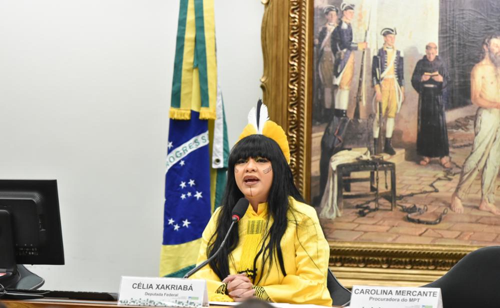 Deputada Célia Xakriabá pede escolta policial após ameaça de violência física no Congresso