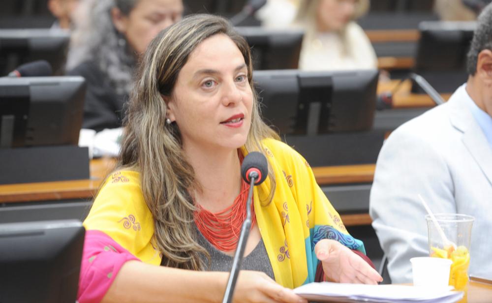 Agressores de mulheres não podem ser eleitos: Fernanda Melchionna propõe incluir Lei Maria da Penha no espectro da Lei da Ficha Limpa