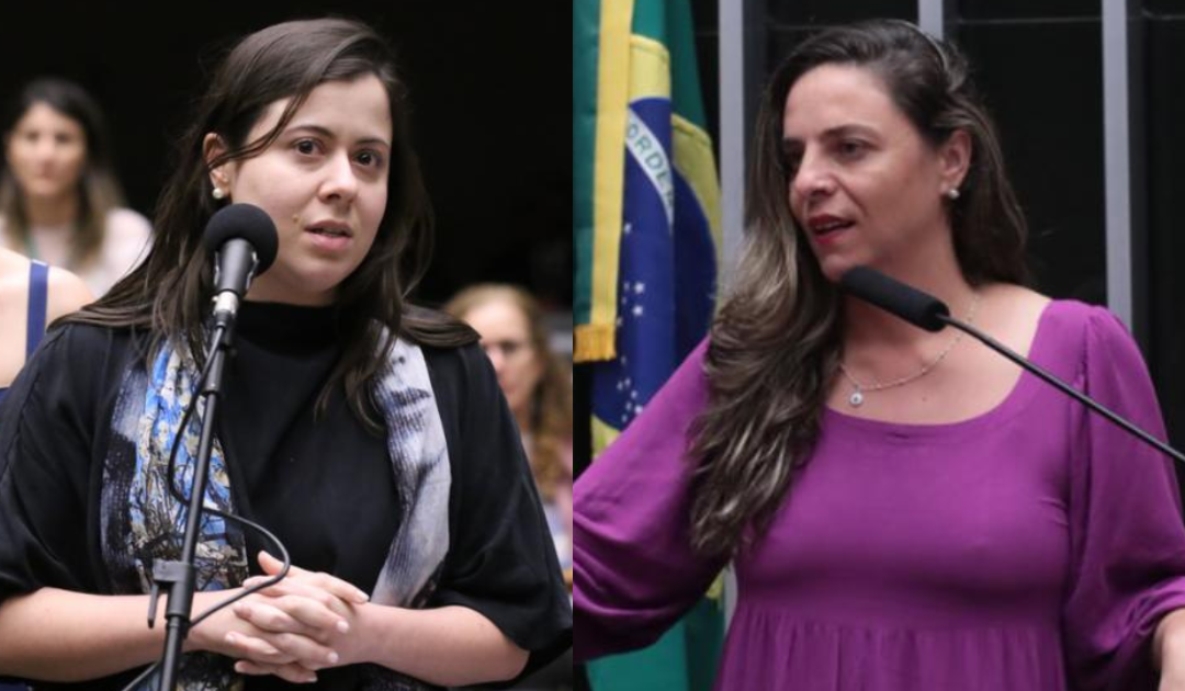 Deputadas do PSOL pedem que Itamaraty interceda por menores brasileiros presos nos EUA
