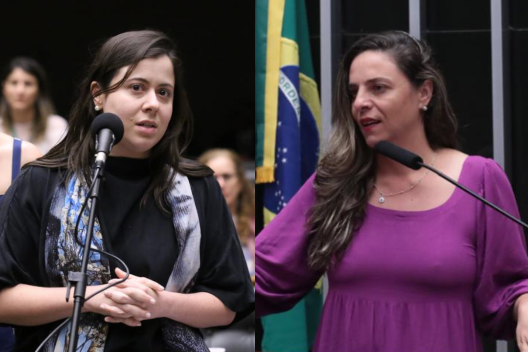 Deputadas do PSOL pedem que Itamaraty interceda por menores brasileiros presos nos EUA