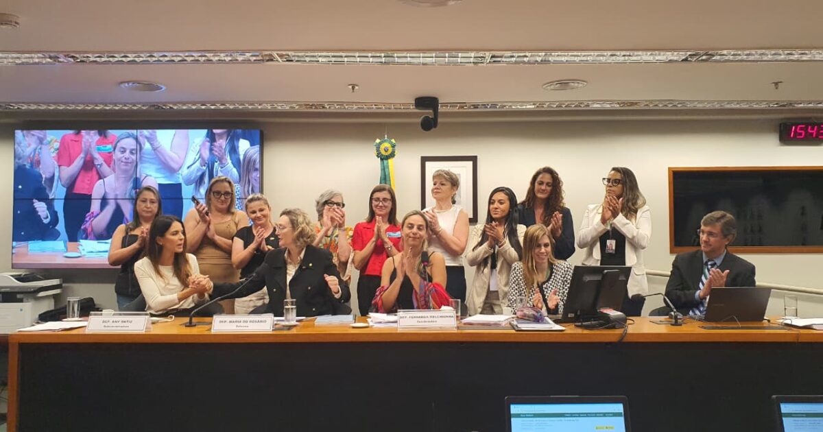 Relatório é aprovado pela Comissão Externa criada para acompanhar os graves casos de feminicídios no Rio Grande do Sul