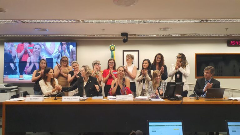 Relatório é aprovado pela Comissão Externa criada para acompanhar os graves casos de feminicídios no Rio Grande do Sul